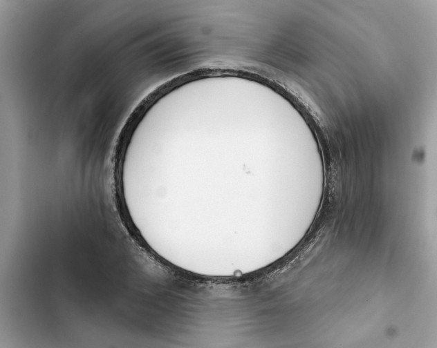 X0000103260976200809191714