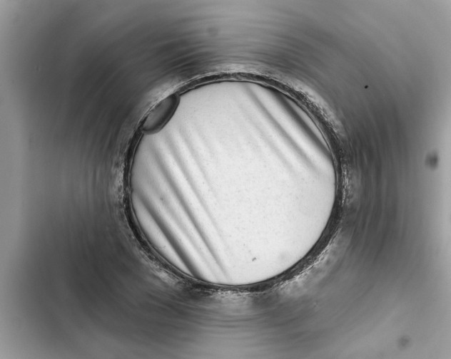 X0000103260977200809191714