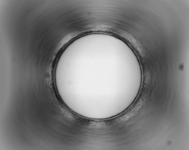 X0000103260978200809191714