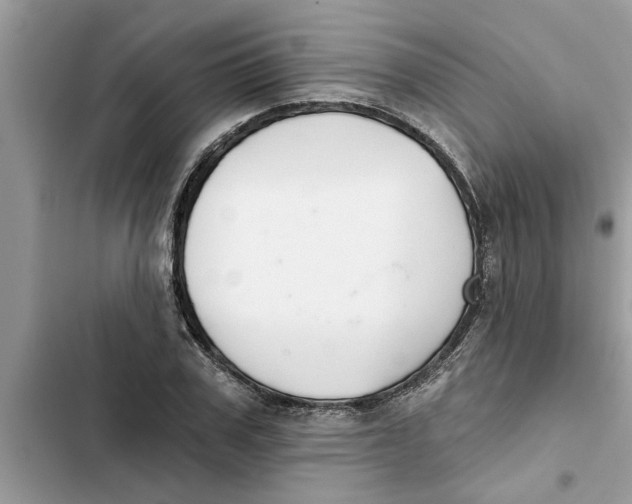 X0000103260979200809191714