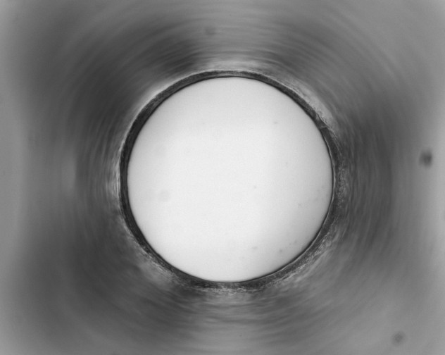 X0000103260980200809191714