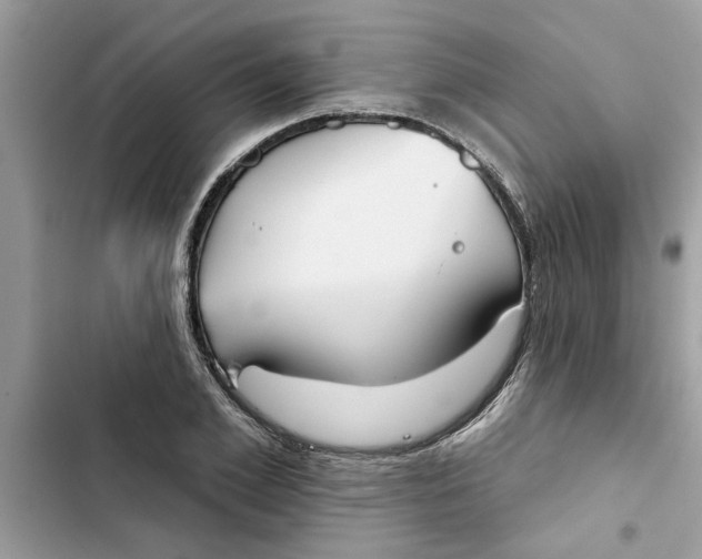 X0000103260981200809191714