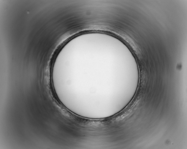 X0000103260982200809191714