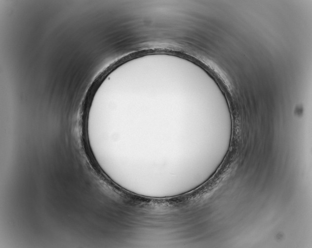 X0000103260983200809191714