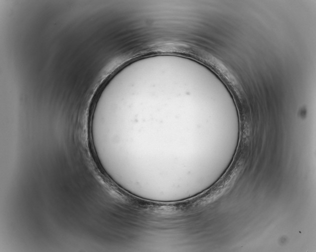 X0000103260986200809191714