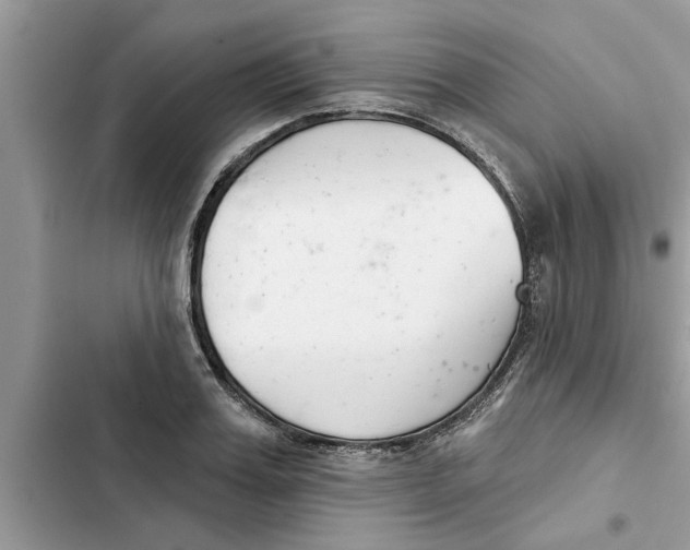 X0000103260987200809191714