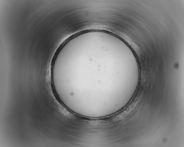 X0000103260988200809191714