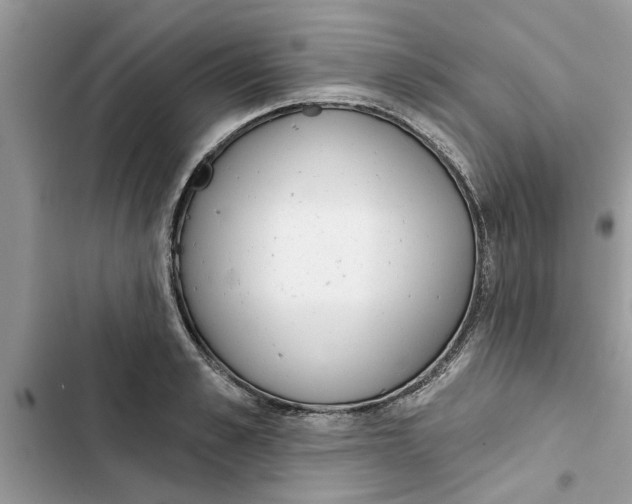 X0000103260989200809191714