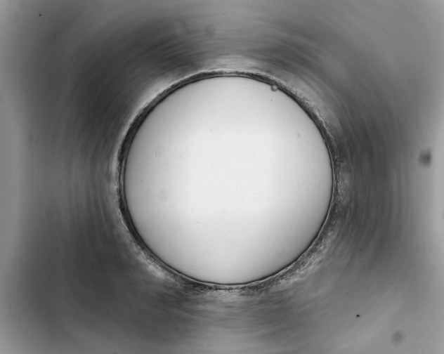 X0000103260990200809191714