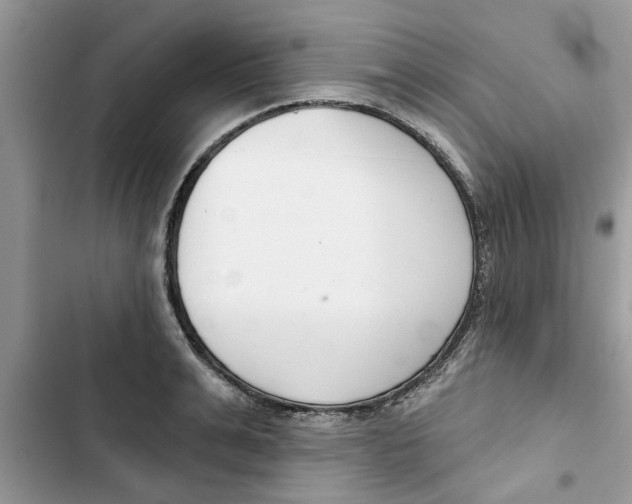 X0000103260991200809191714