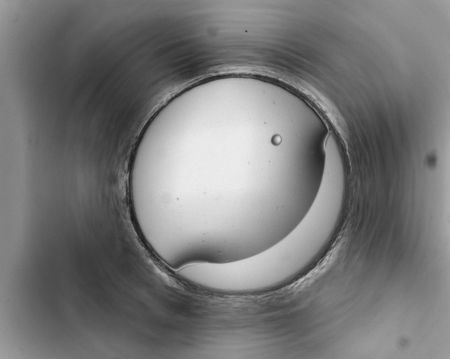 X0000103260993200809191714