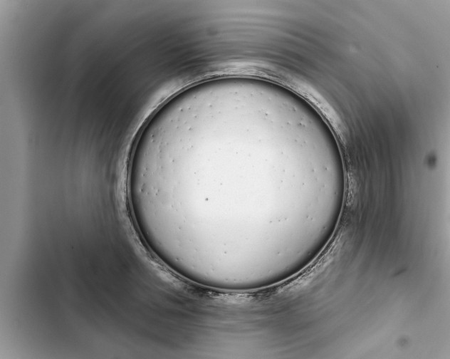 X0000103260994200809191714