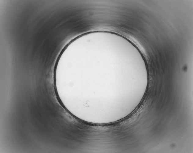 X0000103260996200809191714