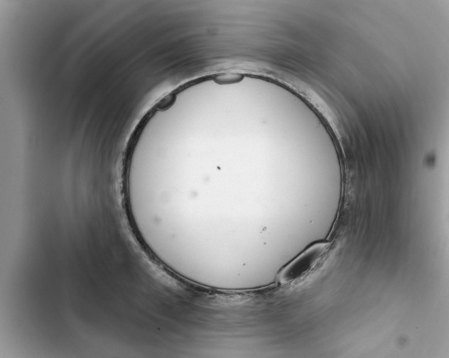 X0000103260997200809191714