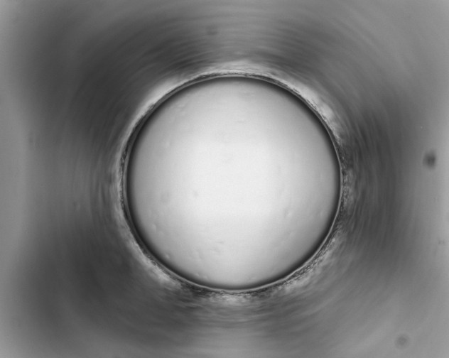 X0000103260998200809191714