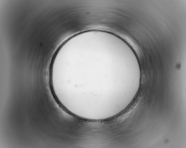 X0000103260999200809191714