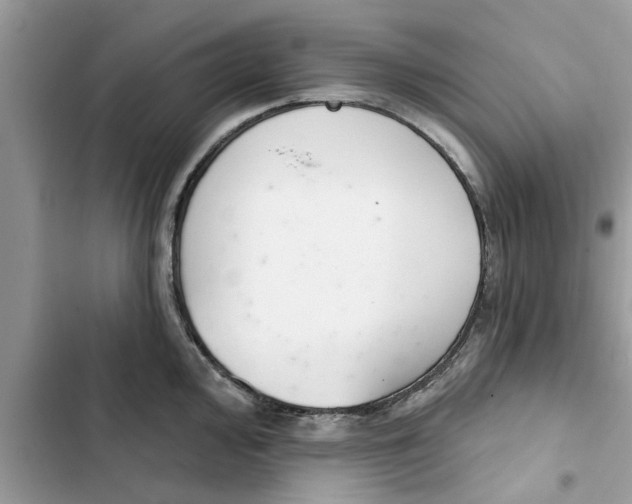 X0000103261000200809191714