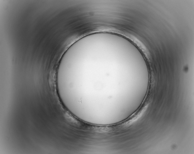 X0000103261001200809191714