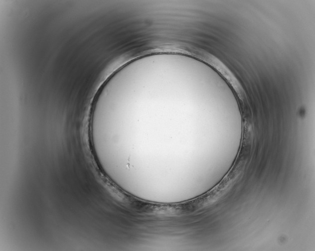 X0000103261002200809191714