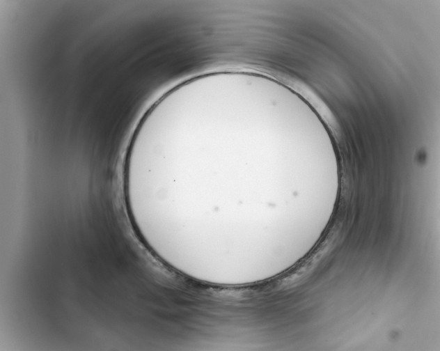 X0000103261004200809191714