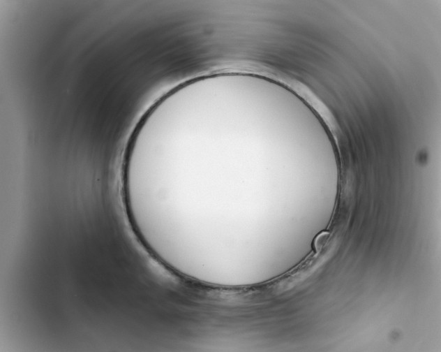 X0000103261005200809191714