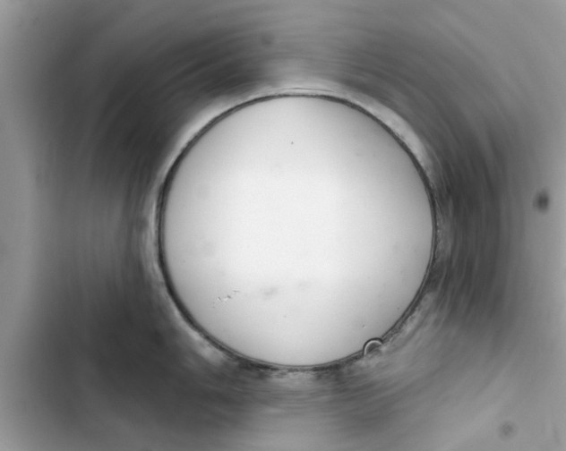 X0000103261006200809191714