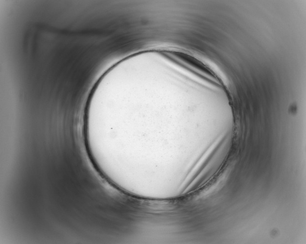 X0000103261007200809191714