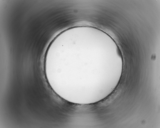 X0000103261008200809191714