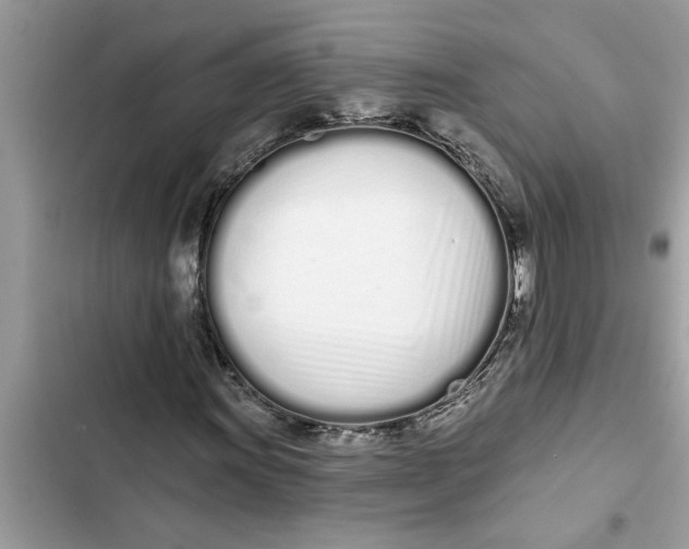 X0000103261011200809191713