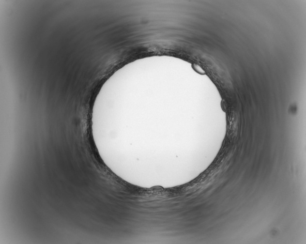 X0000103261012200809191713