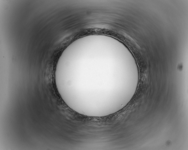 X0000103261014200809191713