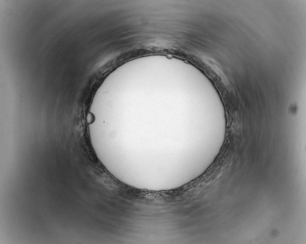 X0000103261015200809191713