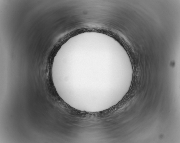 X0000103261016200809191713