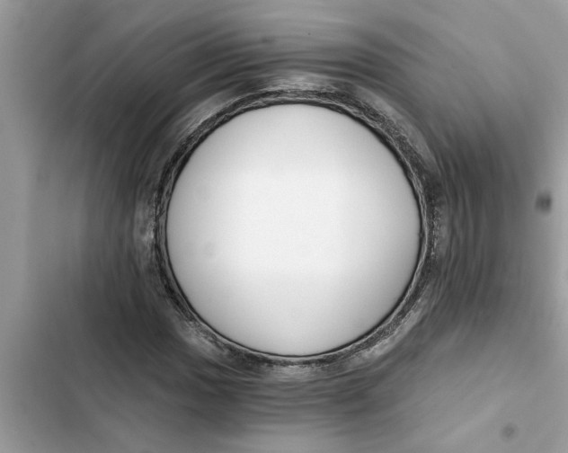 X0000103261017200809191713