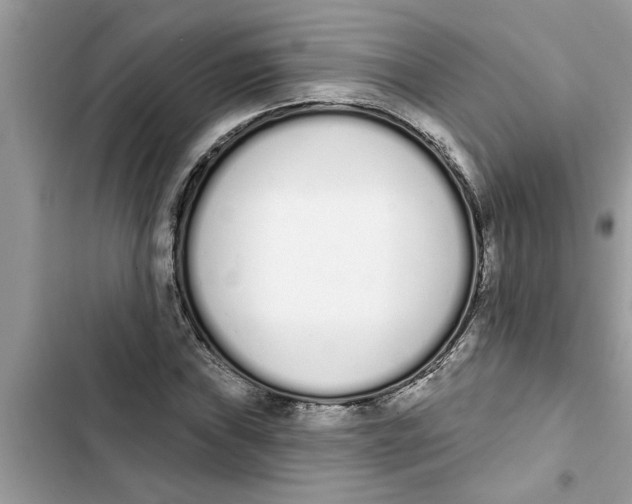 X0000103261019200809191713