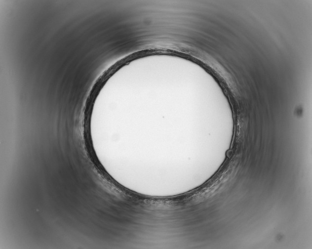 X0000103261020200809191713