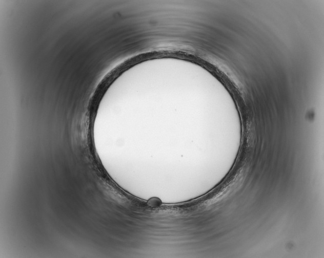 X0000103261021200809191713