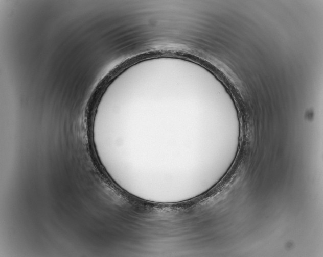 X0000103261022200809191713