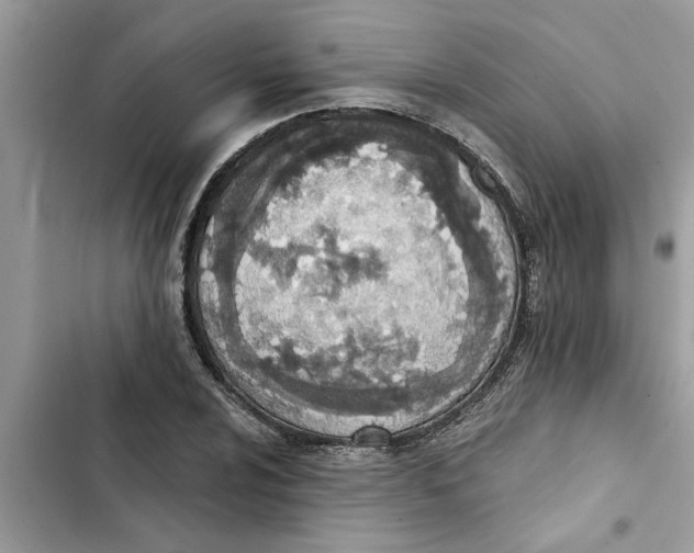 X0000103261024200809191713