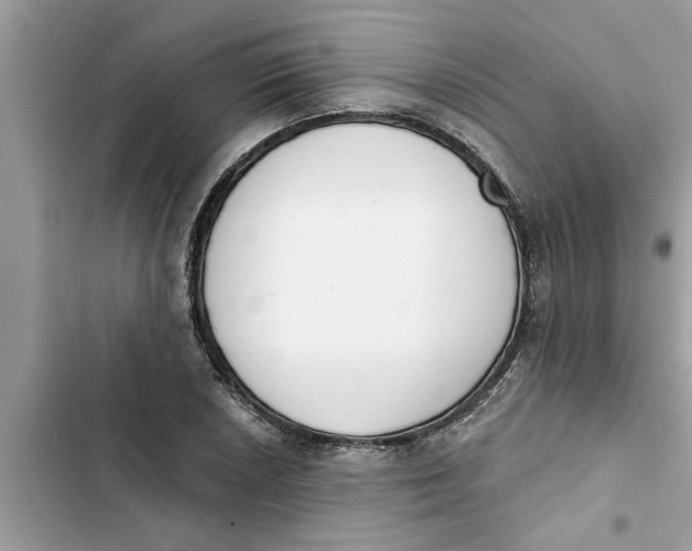 X0000103261026200809191713