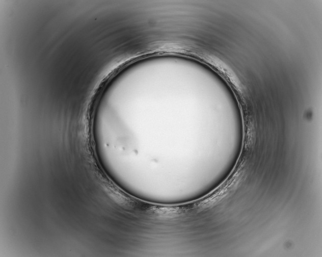 X0000103261027200809191713