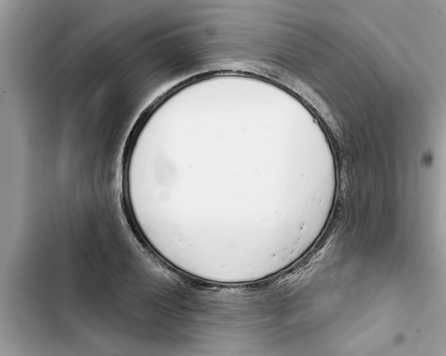 X0000103261028200809191713