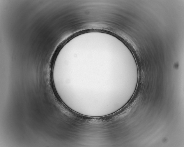 X0000103261029200809191714