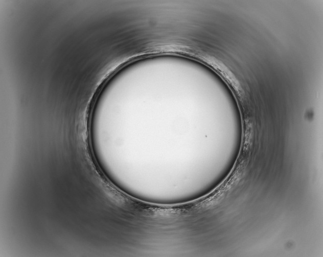 X0000103261031200809191714