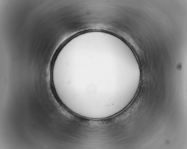 X0000103261032200809191714