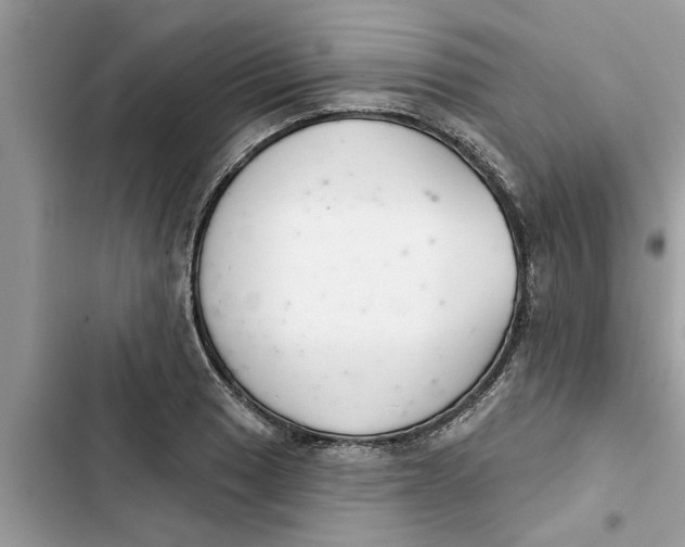 X0000103261033200809191714