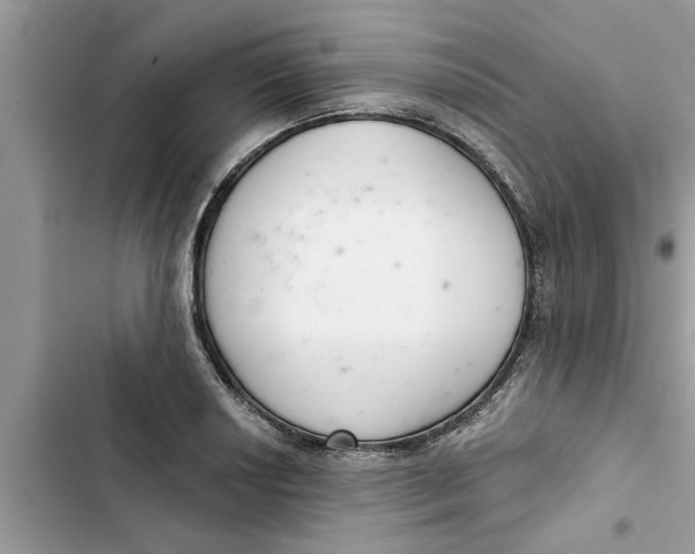 X0000103261034200809191714