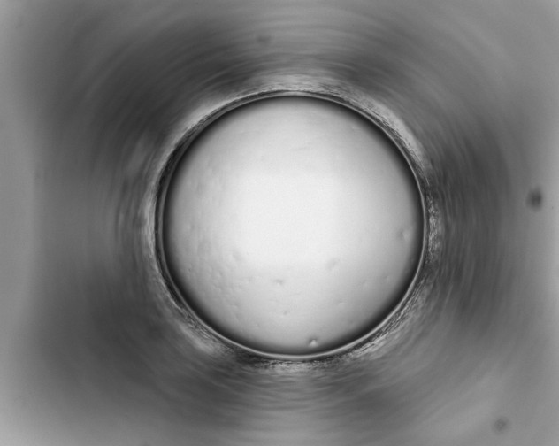 X0000103261035200809191714