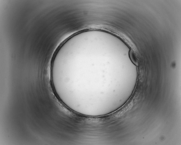 X0000103261036200809191714