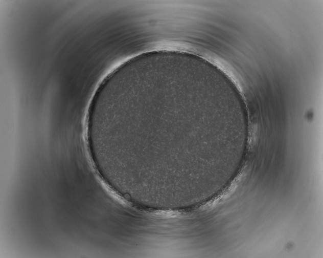 X0000103261037200809191714